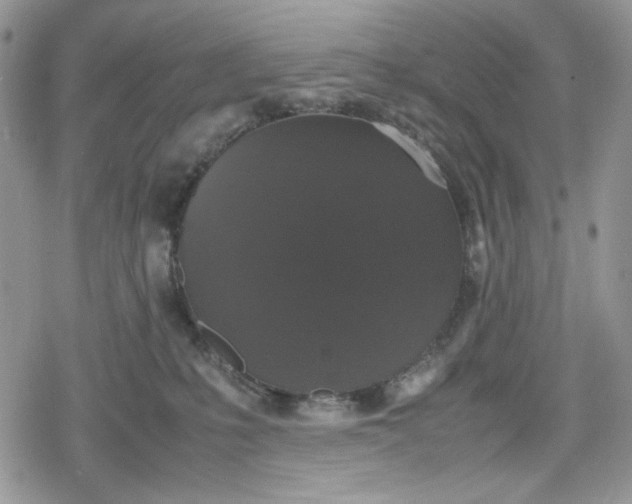 X0000078840231200611271330