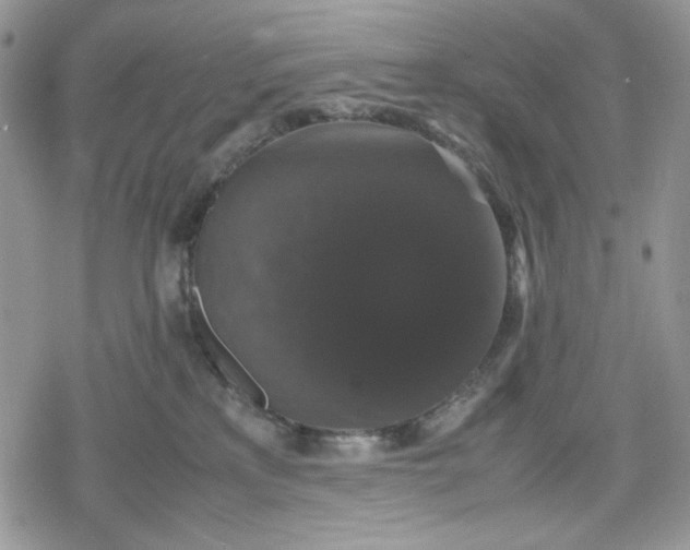 X0000078840233200611271330