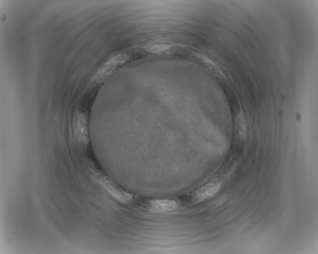 X0000078840234200611271330