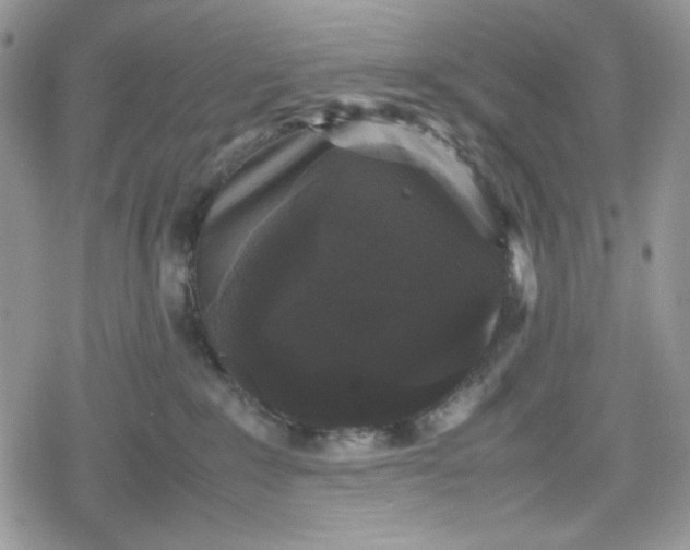 X0000078840235200611271330