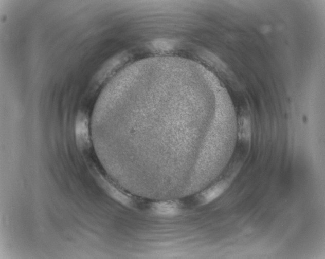 X0000078840238200611271330