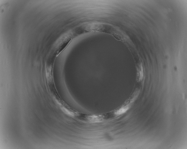 X0000078840239200611271330