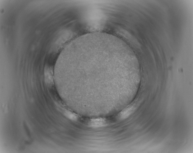 X0000078840240200611271330