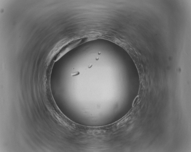 X0000078840242200611271329