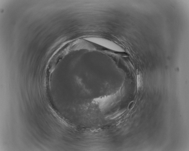 X0000078840243200611271329