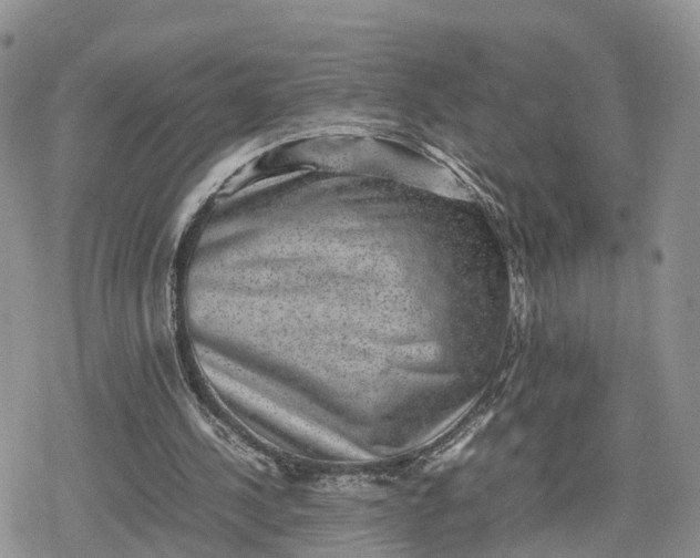 X0000078840244200611271329