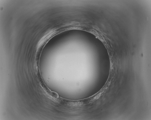 X0000078840245200611271329