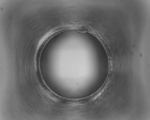 X0000078840246200611271329