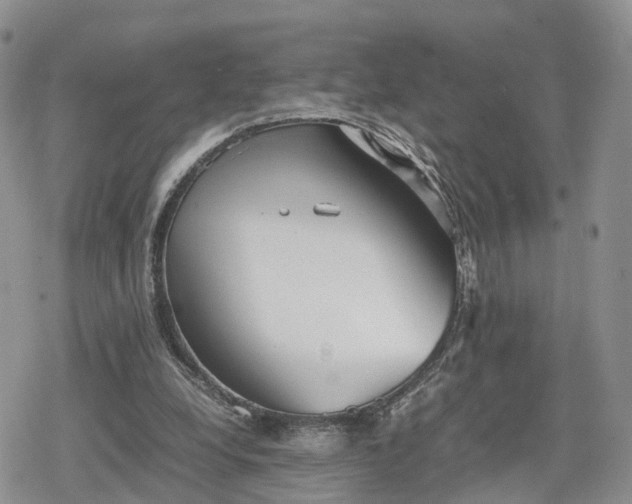 X0000078840248200611271329