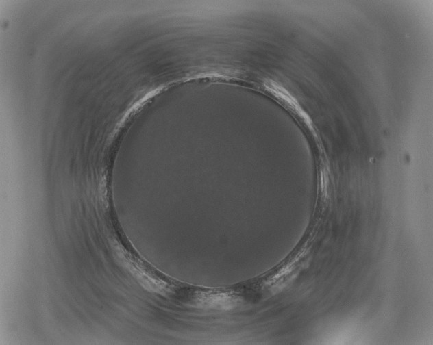 X0000078840249200611271329