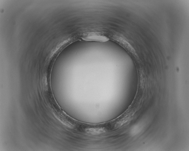 X0000078840251200611271329