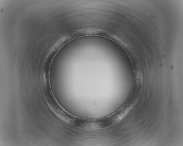 X0000078840254200611271329