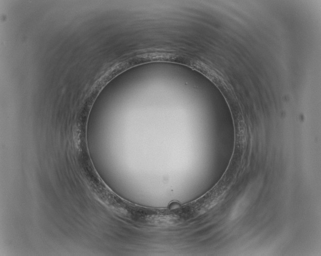 X0000078840255200611271329