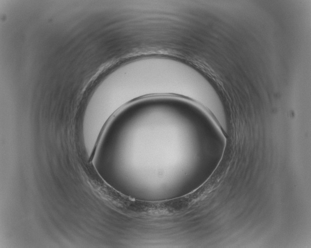 X0000078840256200611271329