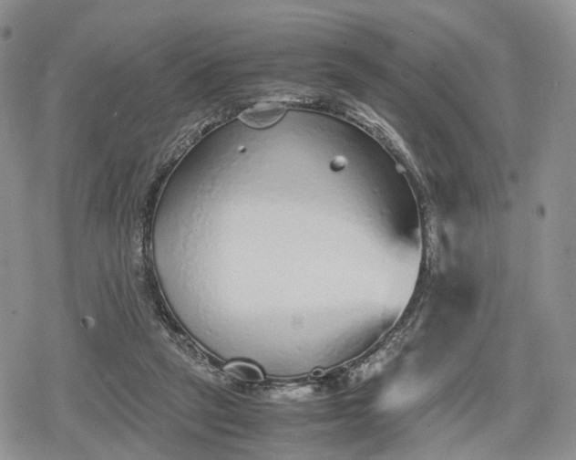 X0000078840257200611271329