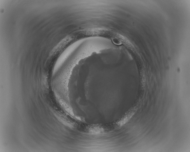 X0000078840258200611271329