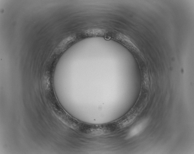 X0000078840259200611271329