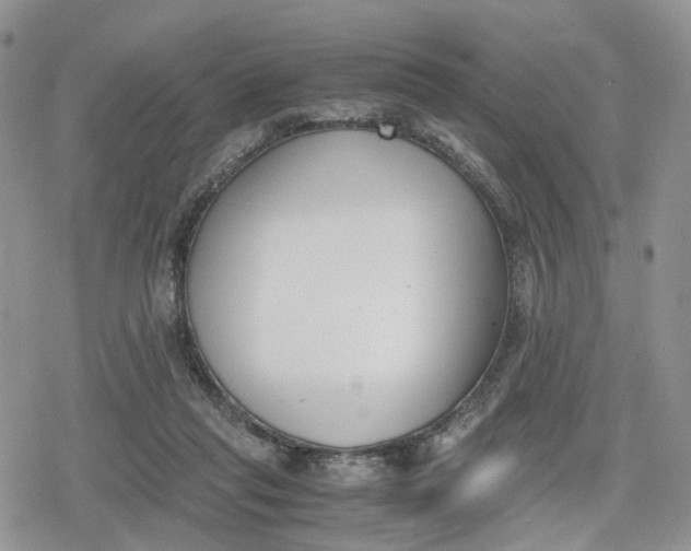 X0000078840261200611271329