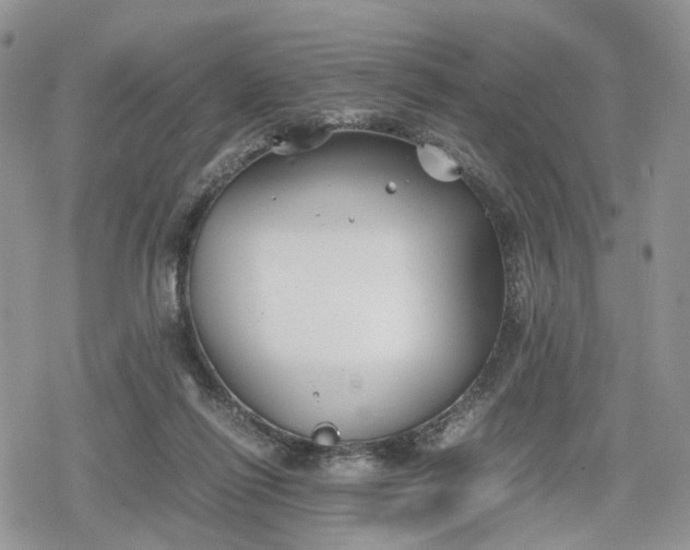 X0000078840262200611271329