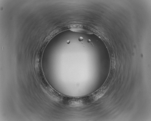 X0000078840263200611271329