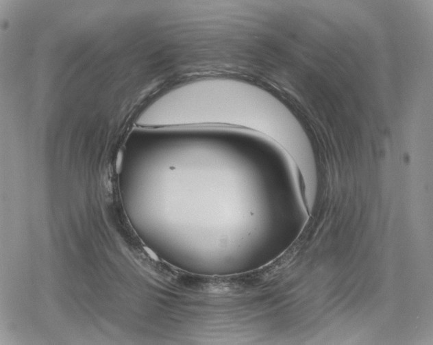 X0000078840264200611271329