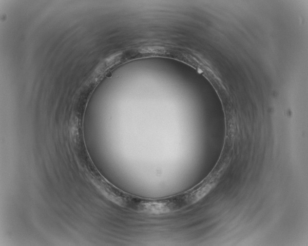 X0000078840265200611271329