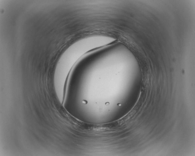 X0000078840268200611271329