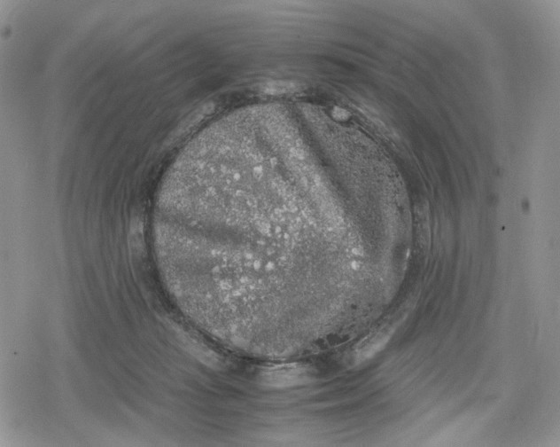 X0000078840269200611271329