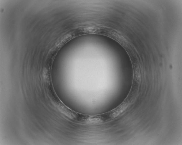 X0000078840270200611271329