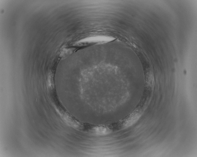 X0000078840272200611271329