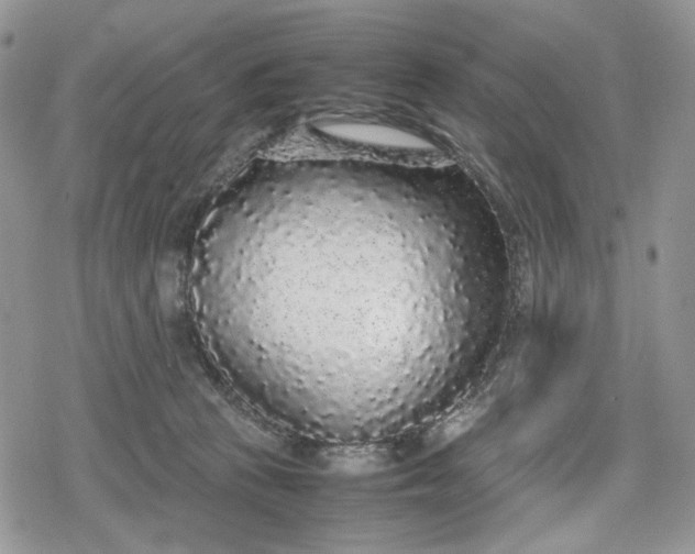 X0000078840273200611271329