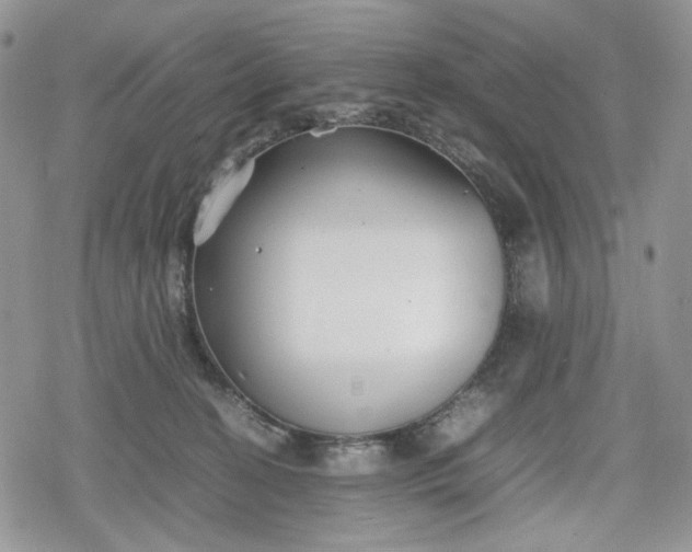 X0000078840274200611271329