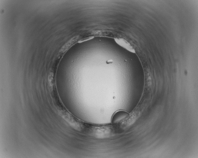 X0000078840275200611271329