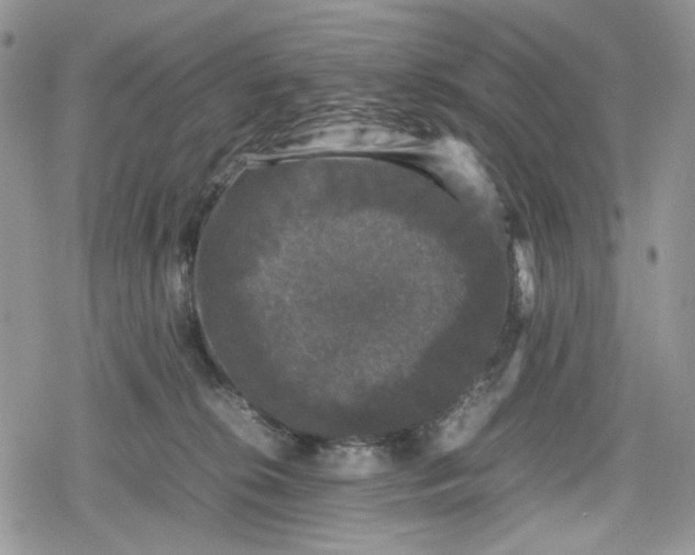 X0000078840276200611271329