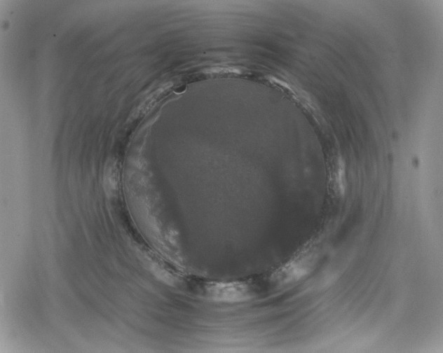 X0000078840277200611271329