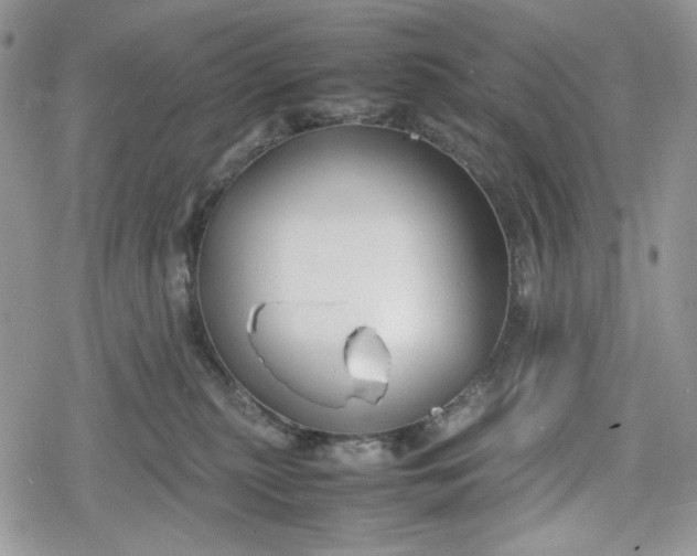 X0000078840279200611271329