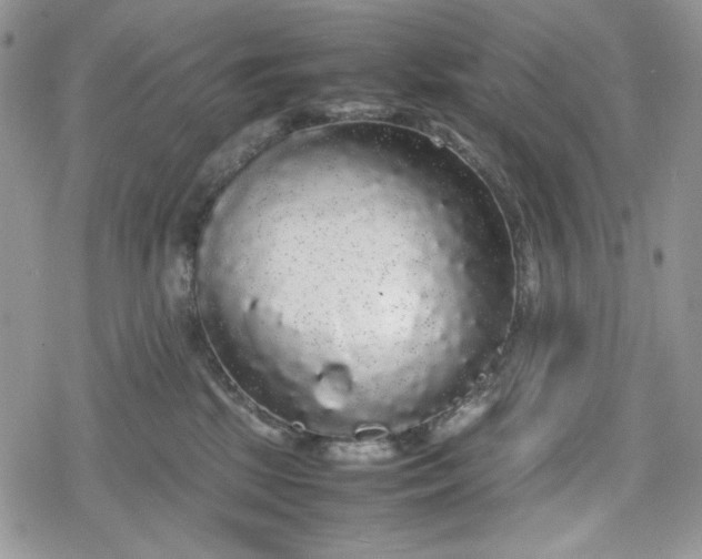 X0000078840281200611271329