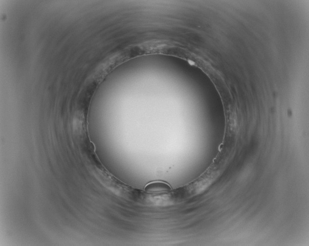 X0000078840283200611271329