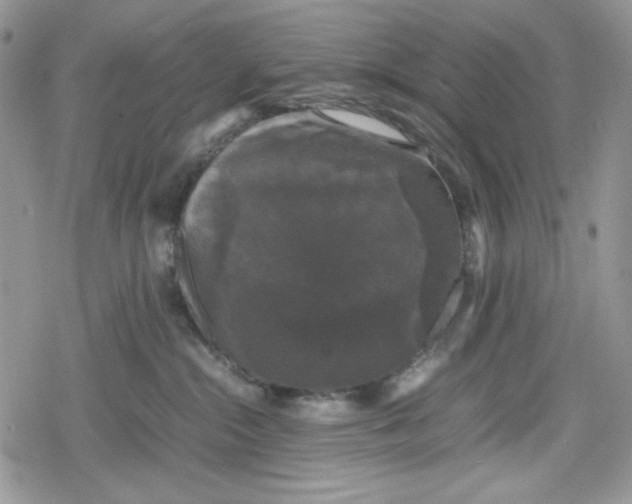 X0000078840284200611271330