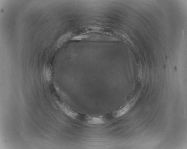 X0000078840285200611271330