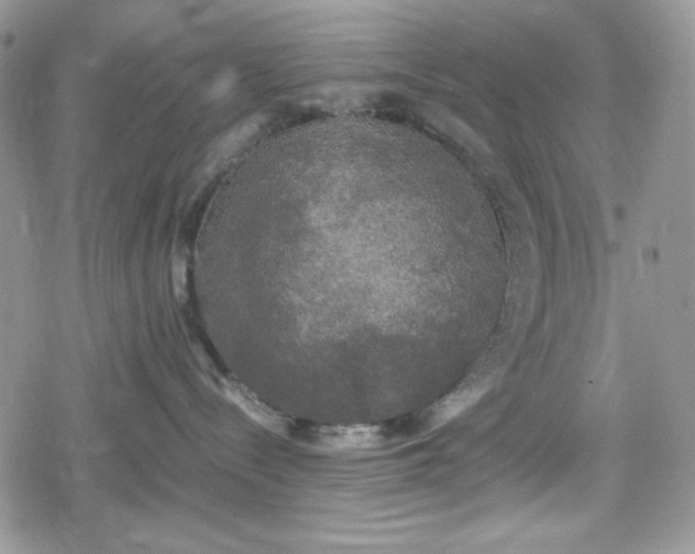 X0000078840288200611271330