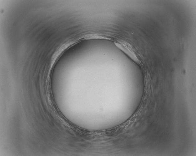 X0000078840289200611271329