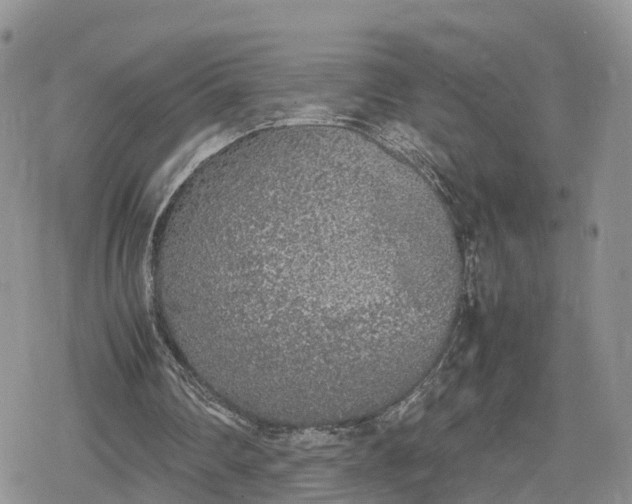 X0000078840290200611271329