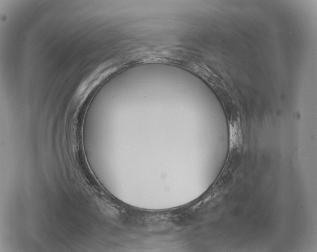 X0000078840291200611271329