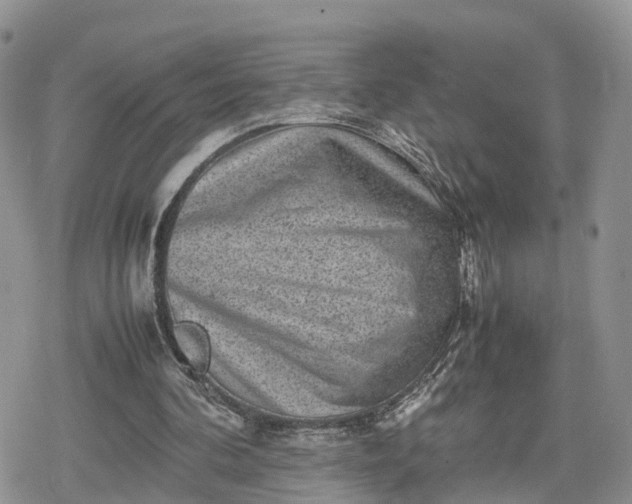 X0000078840292200611271329