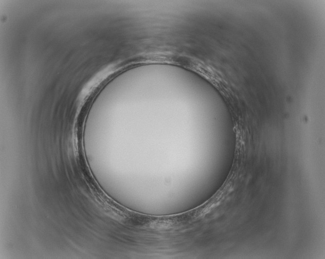 X0000078840294200611271329