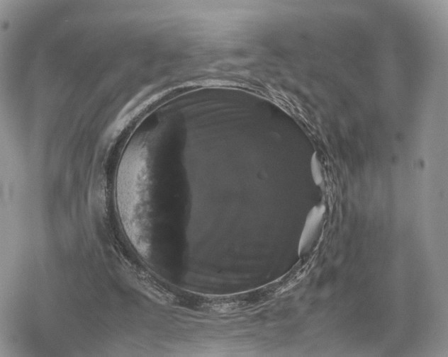 X0000078840295200611271329