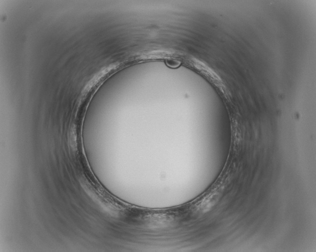 X0000078840298200611271329