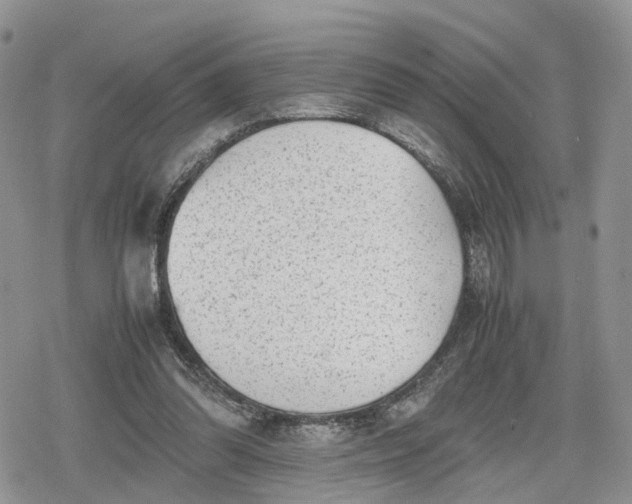 X0000078840302200611271329