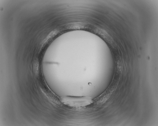 X0000078840304200611271329